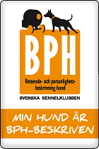Min hund är BPH-beskriven